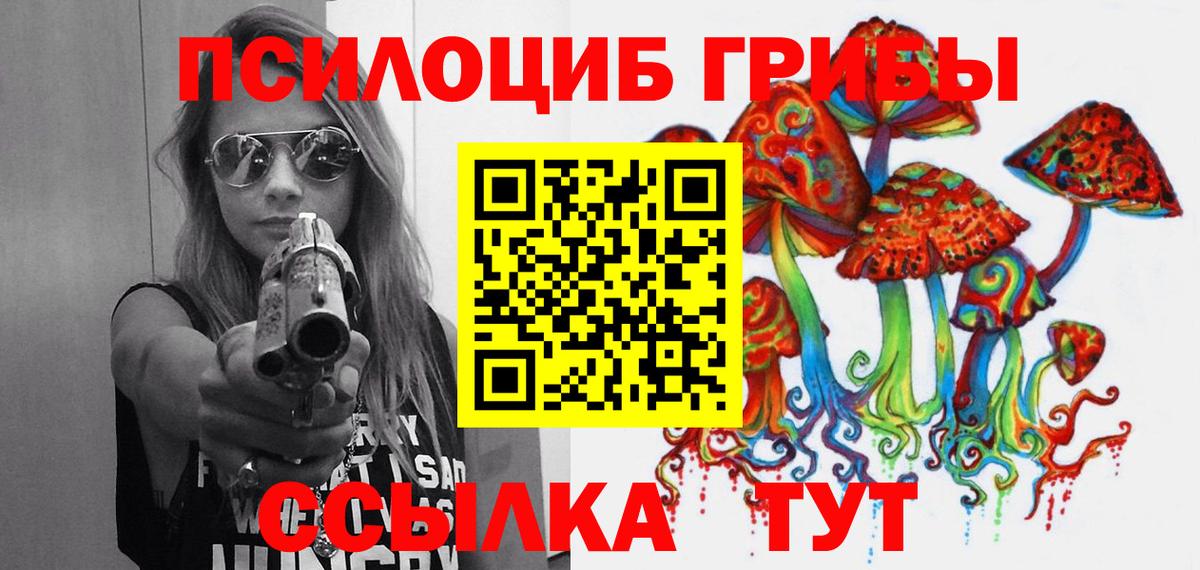 Псилоцибиновые грибы Psilocybe  Галлюциногенные грибы мицелий  Углич  Вход с VPN 
